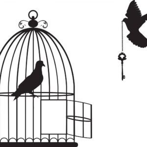 Wooden Bird Cage Open With Doves Flying With a Key Wall Stickers