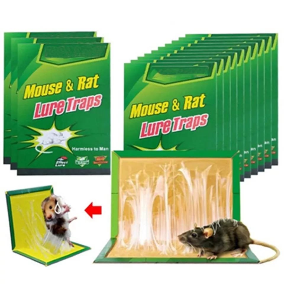 Mouse and Rat Glue Board (Book Type)