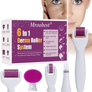 6 in 1 derma roller