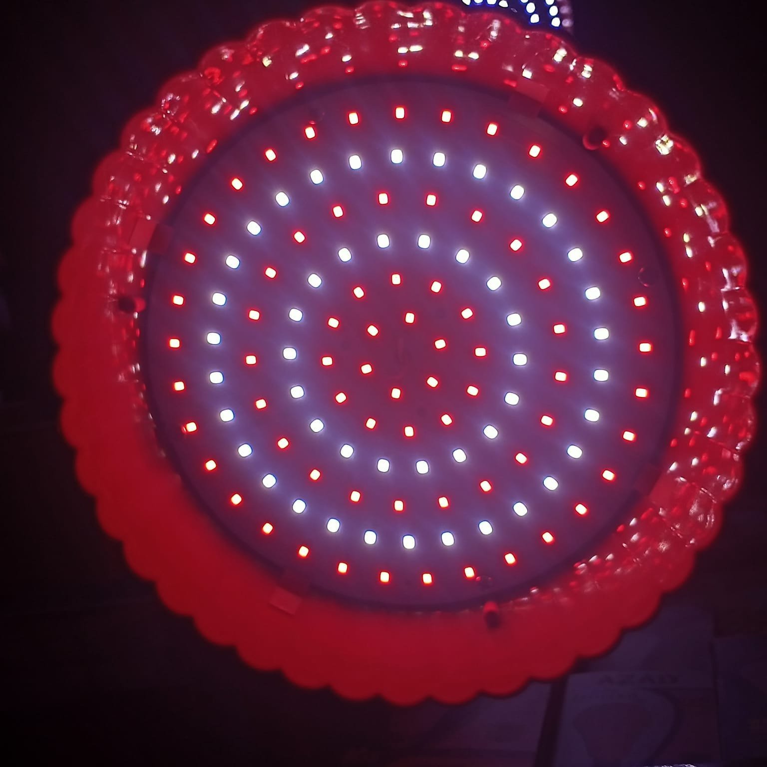 Led Fresh Lamp for supermarket | E27 Led fresh light/cold light/vegetable / fruit lamp - Image 3